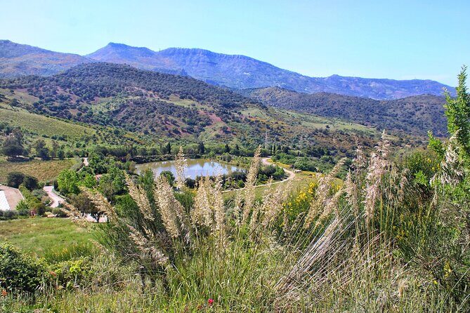 Private Sicilian Winery Tour with Gourmet Lunch Country Escape - Who Will Love This Tour?