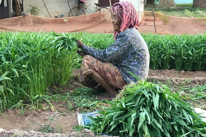 Private Siem Reap Countryside Tour by Jeep with Local Food Experience - FAQ
