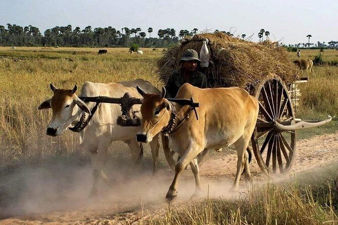Private Siem Reap Quad Bike Adventure - An Adventure on a Quad Bike with a Personal Touch
