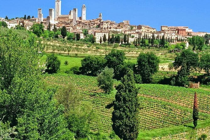 Private Siena, S. Gimignano, Chianti Road and Wine Tasting - FAQ