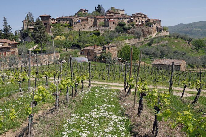 Private Siena to Florence Chianti and San Gimignano Transfer Tour - FAQ
