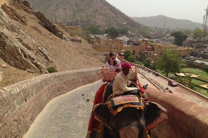 Private Sightseeing Day Tour from Jaipur to Delhi - Who Is This Tour Best For?