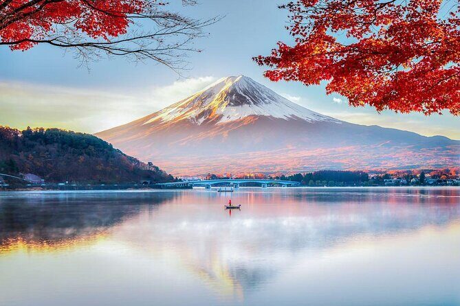 Private Sightseeing to Mt. Fuji and Hakone GREEN NUMBER PLATES - Key Points
