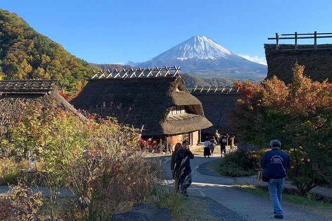 Private Sightseeing to Mt. Fuji and Hakone GREEN NUMBER PLATES - The Value of a Private Tour