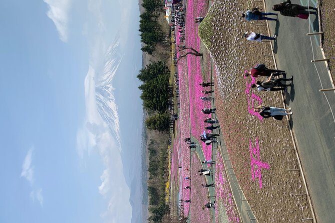 Private Sightseeing to Mt. Fuji and Hakone GREEN NUMBER PLATES - Final Thoughts: Who Is This Tour Perfect For?