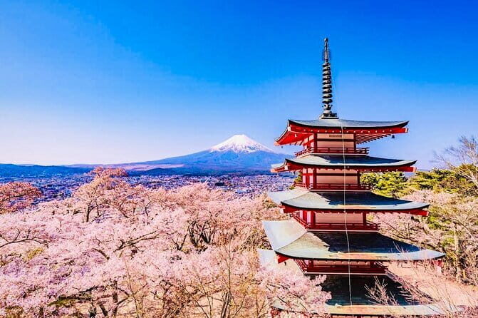 Private Sightseeing to Mt Fuji and Hakone with English Driver - Key Points