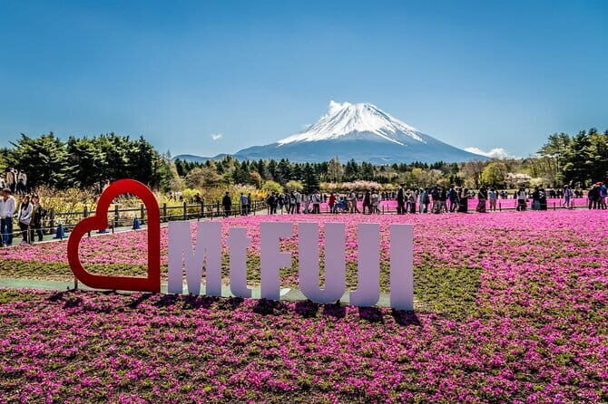 Private Sightseeing to Mt Fuji and Hakone with English Driver - Final Word