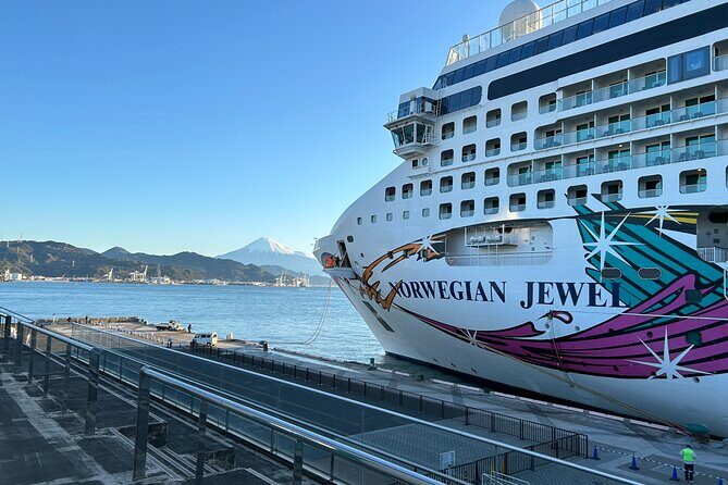 Private Sightseeing Tour from Shimizu Port / Sedan Taxi - Remember: