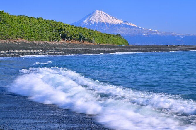 Private Sightseeing Tour from Shimizu Port /Small Bus - Who This Tour Is Perfect For