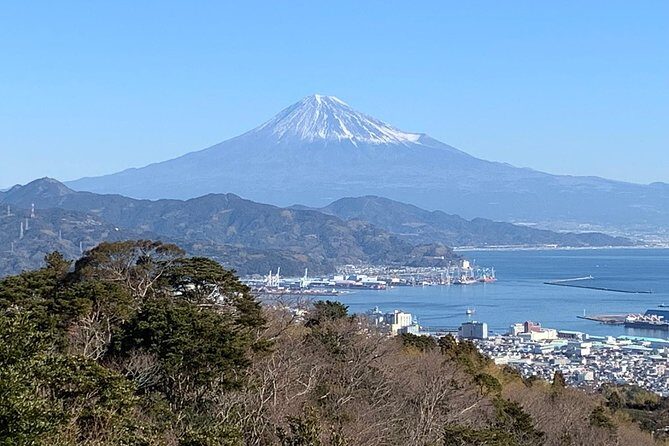 Private sightseeing tour from Shimizu Port / Van Taxi - A Deep Dive into This Shimizu Sightseeing Tour