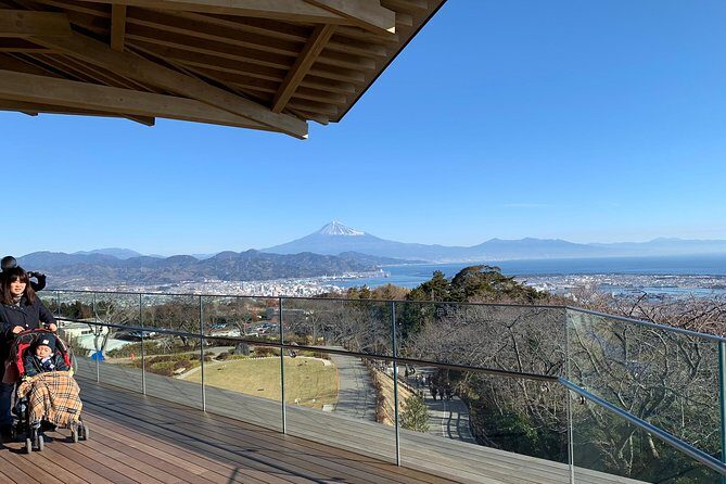 Private sightseeing tour from Shimizu Port / Van Taxi - FAQs