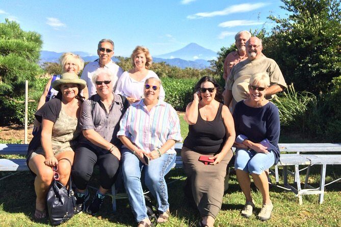 Private sightseeing tour from Shimizu Port / Van Taxi - Final Thoughts