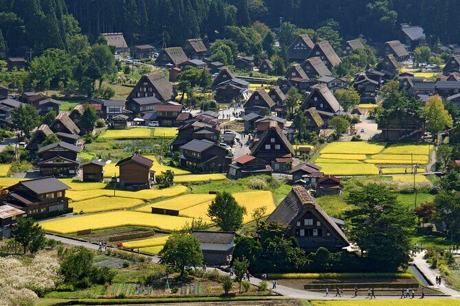 Private Sightseeing Tour to Shirakawago and Takayama from Nagoya - Who is this tour best suited for?