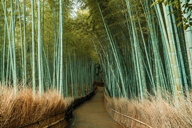 Private Sightseeing Tour Visit in Kyoto with Transfer Included - Who Should Consider This Tour?