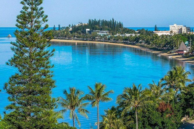 Private Sightseeing Tours - Authentic Feedback and Real-World Insights