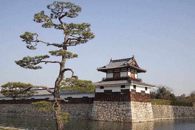 Private Sightseeing Walking Tour in Hiroshima with a Guide - Considering the Cost