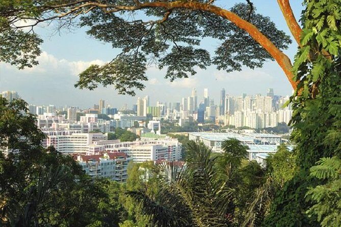 Private Singapore Full Day Round Island Tour with River Cruise - Frequently Asked Questions