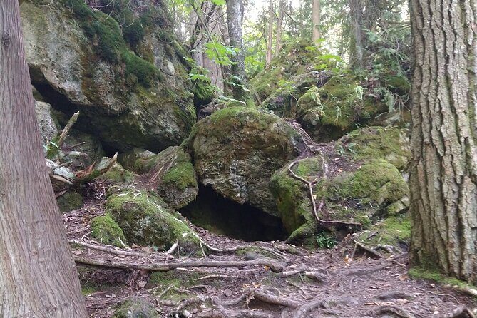 Private Singhampton Caves Hiking Tour, Collingwood/Blue Mountain - Frequently Asked Questions