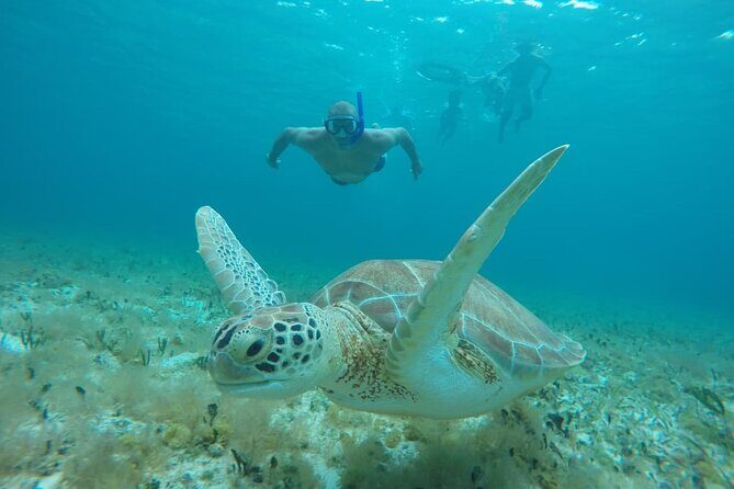 Private Sky Snorkeling Tour - Who Should Consider This Tour?