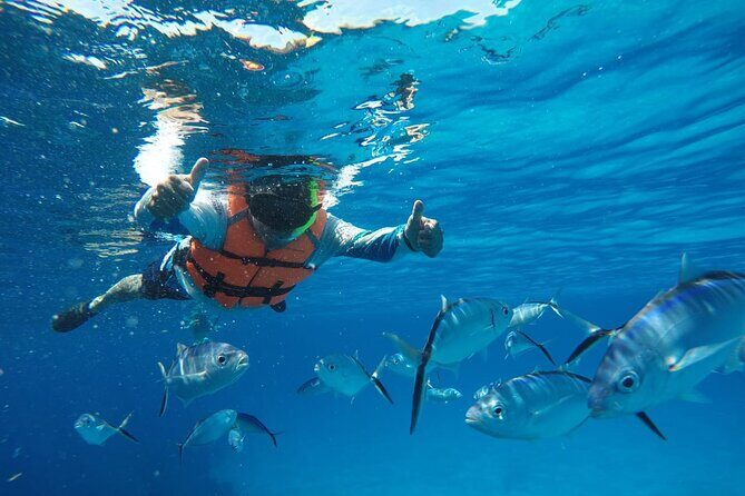 Private Sky Snorkeling Tour - The Sum Up: Who Will Love This Experience?