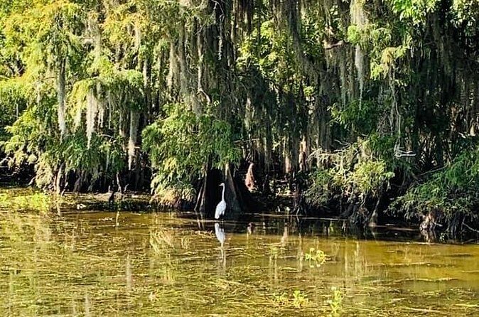 Private Small Airboat Ride with Tranportation from New Orleans - FAQ