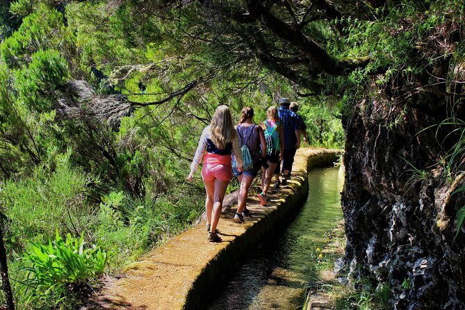 Private Small Group Full Day 4x4 Tour in Northwest Madeira - Authentic Experiences & What Travelers Say