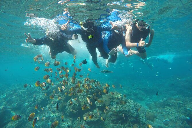 Private Small Group Snorkeling and West Nusa Penida Tour All Inclusive from Bali - Key Points