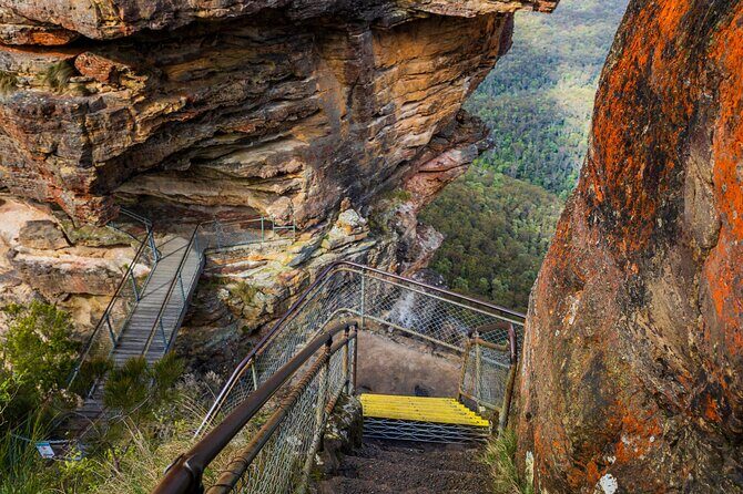 Private Small Group Tour in Blue Mountains - An Introduction to the Blue Mountains Tour