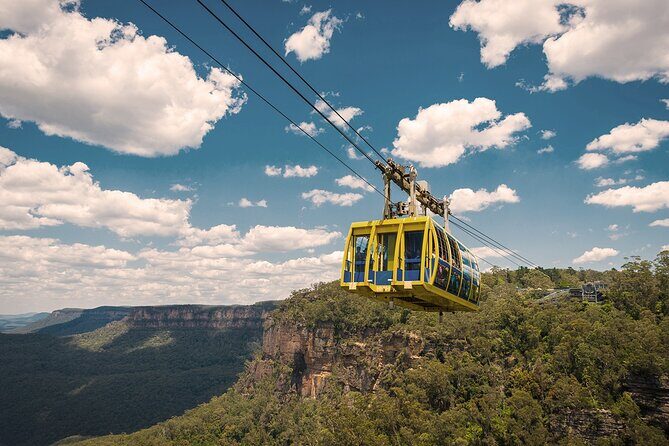 Private Small Group Tour in Blue Mountains - The Value and Pricing