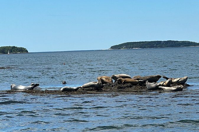 Private Small Group Wildlife Eco Tour in Kennebunkport - FAQ