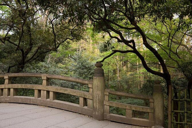 Private smartphone photography in Osaka - Exploring Osaka Through Your Lens: A Practical Review