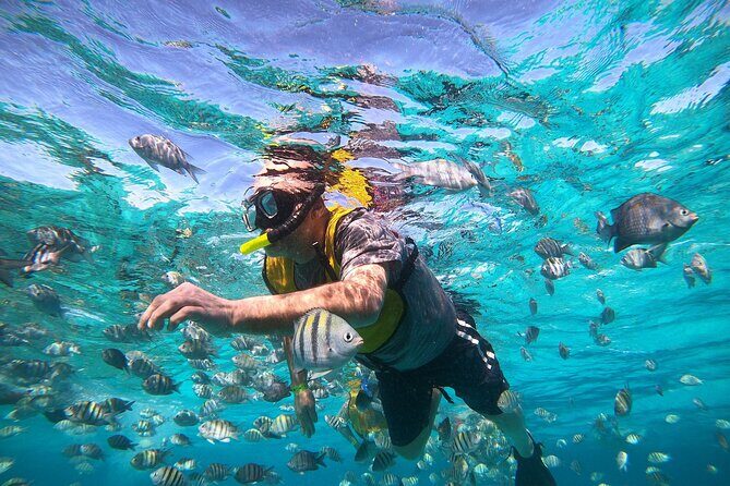 Private Snorkel and Isla Mujeres Tour - FAQ