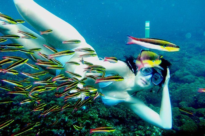 private snorkel - Authentic Insights from Past Participants