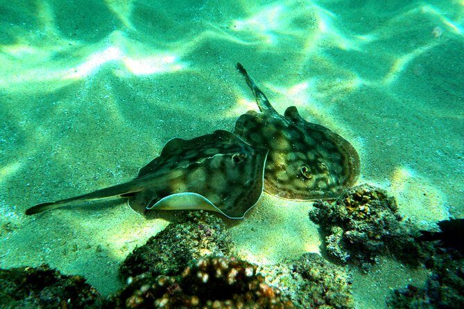 private snorkel - FAQs