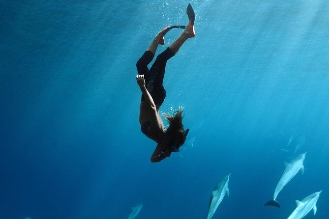 Private Snorkel Tour 3 Hrs 1 stop from Kaanapali Beach - Introduction