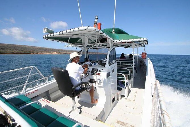 Private Snorkel Tour 3 Hrs 1 stop from Kaanapali Beach - The Pros and Cons