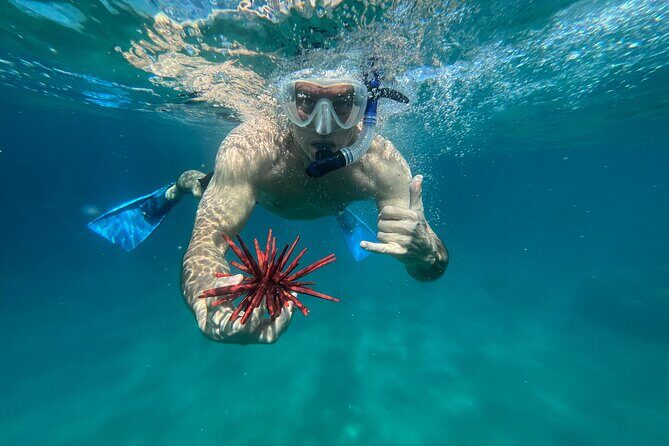 Private Snorkel with Beach Set-Up - FAQs