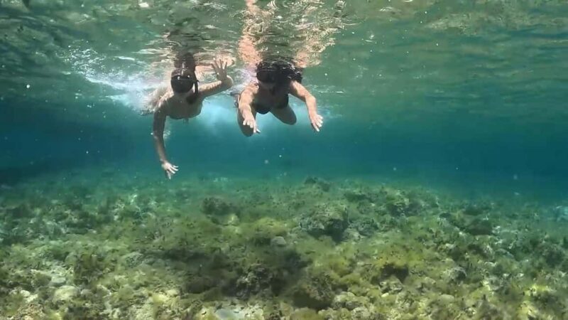 Private Snorkeling Adventure with underwater GoPro pictures - Final Thoughts