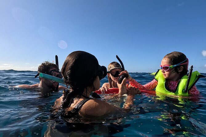 Private Snorkeling Cruise in Waikiki - Key Points