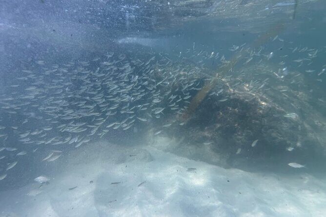 Private Snorkeling Excursion - FAQ