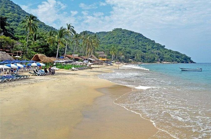 Private Snorkeling Experience and Boat tour to Las Animas Beach - Final Thoughts