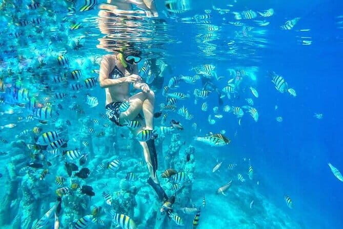 Private Snorkeling Gili Island Including GoPro Camera - FAQs