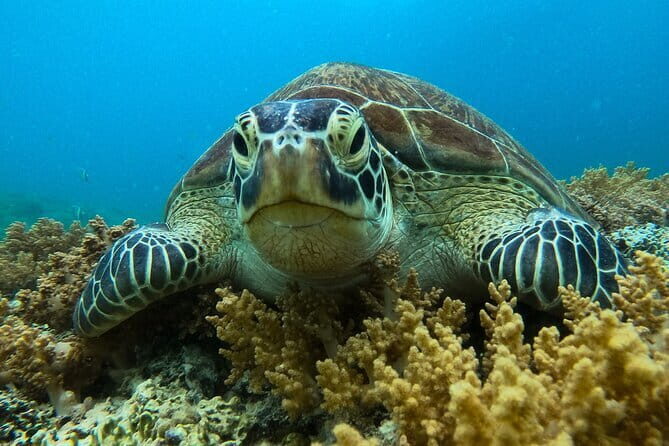 Private Snorkeling in 3 GiIi Islands - Exploring the Itinerary