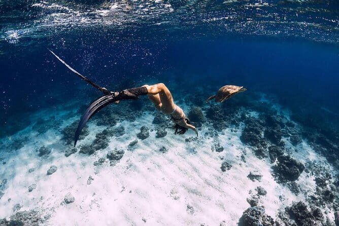 Private Snorkeling in 3 GiIi Islands - Practical Details and Tips