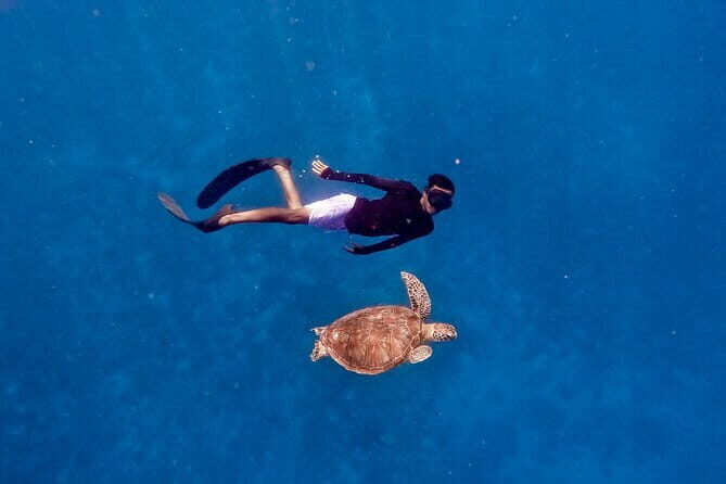 Private Snorkeling in 3 GiIi Islands - Final Thoughts