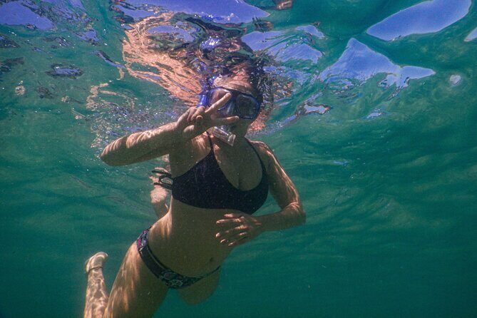 Private Snorkeling Tour In Sydney's Marine Reserve - Why Sydney Is a Hidden Snorkeling Gem