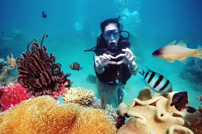 Private Snorkeling Tour Nha Trang Included Lunch And Snorkel Gear - An In-Depth Look at the Nha Trang Snorkeling Tour