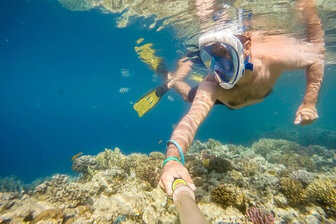 Private Snorkeling Yacht Tour in Cancun and Isla Mujeres - Practical Considerations