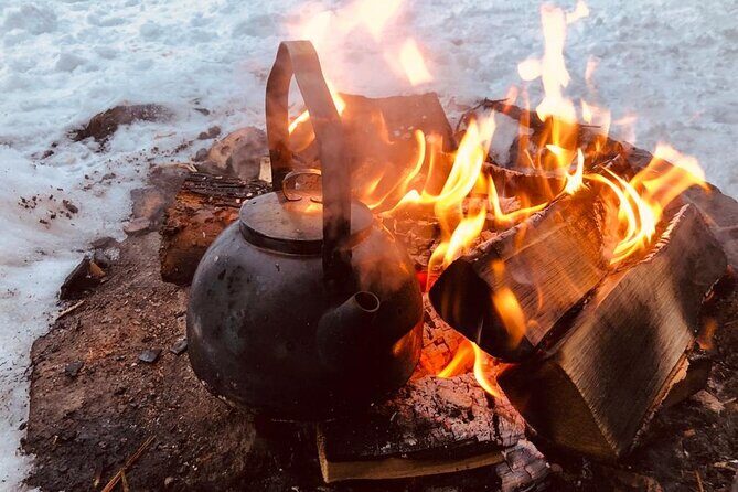 Private Snowmobile Experience in Rovaniemi's Forest - The Sum Up
