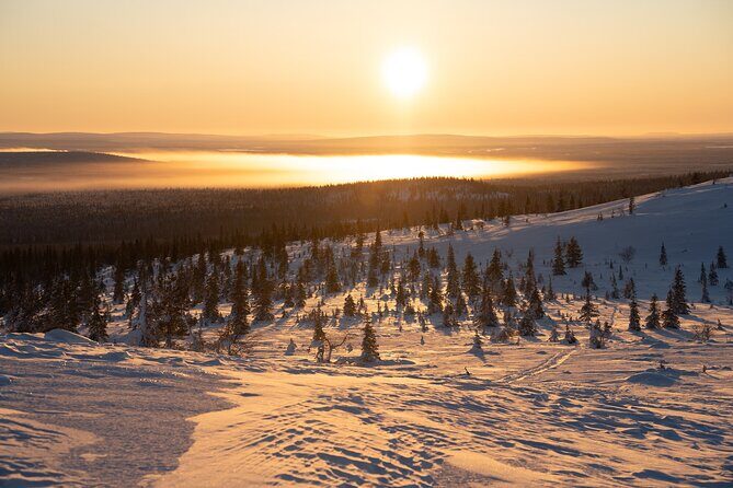 Private Snowshoe or Ski Adventure in Lapland - The Sum Up